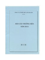 Báo cáo thường niên năm 2014 - Công ty Cổ phần Dệt lưới Sài Gòn