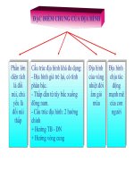 Sơ đồ ôn tập đặc điểm chung của địa lý Việt Nam