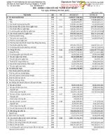 Báo cáo tài chính hợp nhất quý 2 năm 2014 - Công ty Cổ phần Địa ốc Sài Gòn Thương Tín