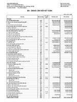 Báo cáo tài chính công ty mẹ quý 4 năm 2010 - Công ty Cổ phần Sông Đà 2