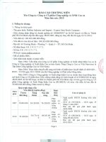 Báo cáo thường niên năm 2015 - CTCP Công nghiệp và Xuất nhập khẩu Cao Su