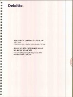 Báo cáo tài chính hợp nhất quý 2 năm 2014 (đã soát xét) - Tổng Công ty cổ phần Xây lắp Dầu khí Việt Nam