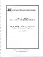 Báo cáo tài chính công ty mẹ quý 2 năm 2014 - Công ty Cổ phần Mía đường Nhiệt điện Gia Lai