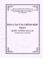 Báo cáo tài chính hợp nhất quý 2 năm 2015 - Công ty Cổ phần Quốc Cường Gia Lai