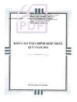 Báo cáo tài chính hợp nhất quý 1 năm 2016 - Công ty Cổ phần Sông Đà 5
