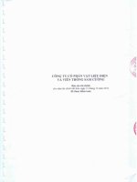 Báo cáo tài chính năm 2010 (đã kiểm toán) - Công ty cổ phần Vật liệu Điện và Viễn thông Sam Cường