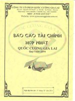 Báo cáo tài chính hợp nhất quý 1 năm 2014 - Công ty Cổ phần Quốc Cường Gia Lai