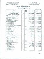 Báo cáo tài chính quý 4 năm 2013 - Công ty Cổ phần Nước giải khát Chương Dương