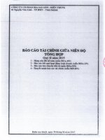Báo cáo tài chính quý 2 năm 2015 - Công ty Cổ phần Bia Sài Gòn - Miền Trung