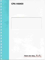 Báo cáo tài chính hợp nhất quý 2 năm 2009 (đã soát xét) - Công ty Cổ phần Xây dựng số 5