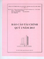 Báo cáo tài chính quý 2 năm 2015 - Công ty cổ phần Đầu tư Xây dựng Thương mại Dầu khí-IDICO