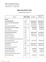 Báo cáo tài chính hợp nhất quý 2 năm 2014 - Công ty Cổ phần Địa ốc Chợ Lớn