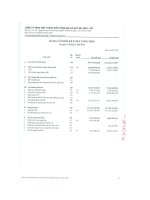 Báo cáo tài chính công ty mẹ năm 2014 - Công ty TNHH MTV Vàng bạc đá quý Sài Gòn