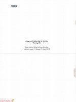 Báo cáo tài chính công ty mẹ năm 2015 (đã kiểm toán) - Công ty Cổ phần Địa ốc Sài Gòn Thương Tín