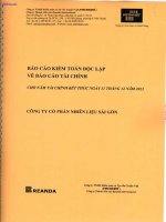 Báo cáo tài chính năm 2013 (đã kiểm toán) - Công ty Cổ phần Nhiên liệu Sài Gòn