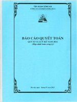 Báo cáo tài chính hợp nhất quý 2 năm 2011 - Công ty Cổ phần Sông Đà 6