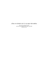 Báo cáo tài chính quý 2 năm 2009 - Công ty Cổ phần Đầu tư và Phát triển Sacom