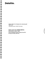 Báo cáo tài chính công ty mẹ quý 2 năm 2015 (đã soát xét) - Tổng Công ty cổ phần Xây lắp Dầu khí Việt Nam