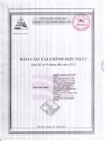 Báo cáo tài chính hợp nhất quý 3 năm 2012 - Công ty Cổ phần Sông Đà 2