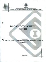 Báo cáo tài chính công ty mẹ quý 3 năm 2011 - Công ty Cổ phần Dịch vụ tổng hợp Sài Gòn