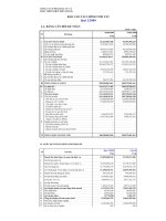 Báo cáo tài chính quý 2 năm 2009 - Công ty Cổ phần Đầu tư và Phát triển Điện miền Trung