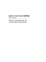 Báo cáo tài chính công ty mẹ quý 1 năm 2015 - Công ty Cổ phần Đầu tư và Xây dựng Tiền Giang