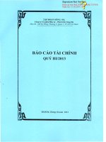 Báo cáo tài chính quý 3 năm 2013 - Công ty cổ phần Đầu tư - Phát triển Sông Đà