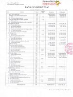 Báo cáo tài chính hợp nhất quý 2 năm 2012 - Công ty Cổ phần Sông Đà 7.04