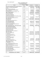 Báo cáo tài chính hợp nhất quý 2 năm 2010 - Công ty Cổ phần Sông Đà 8