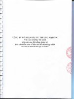 Báo cáo tài chính hợp nhất năm 2015 (đã kiểm toán) - Công ty Cổ phần Ðầu tư Thương mại SMC
