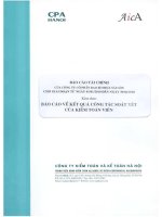 Báo cáo tài chính quý 2 năm 2010 (đã soát xét) - Công ty cổ phần Bao bì Nhựa Sài Gòn
