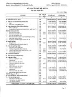 Báo cáo tài chính quý 3 năm 2010 - Công ty cổ phần Bao bì Nhựa Sài Gòn