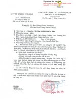 Báo cáo tài chính quý 4 năm 2015 - Công ty Cổ phần Sadico Cần Thơ