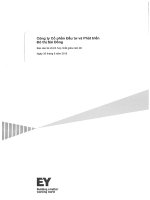 Báo cáo tài chính hợp nhất quý 2 năm 2015 (đã soát xét) - Công ty cổ phần Đầu tư và Phát triển Đô thị Sài Đồng