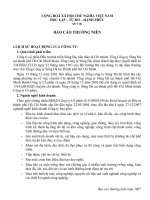 Báo cáo thường niên năm 2007 - Công ty cổ phần Đầu tư - Phát triển Sông Đà