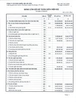 Báo cáo tài chính quý 1 năm 2014 - Công ty Cổ phần Nhiên liệu Sài Gòn