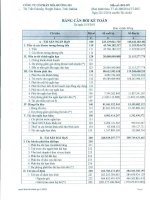 Báo cáo tài chính quý 1 năm 2015 - Công ty cổ phần Mía đường 333