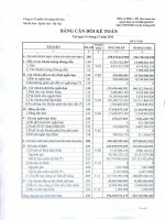 Báo cáo tài chính quý 4 năm 2011 - Công ty Cổ phần Xi măng Sài Sơn