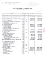 Báo cáo tài chính quý 3 năm 2010 - Công ty Cổ phần Bia Sài Gòn - Miền Trung