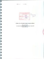 Báo cáo tài chính năm 2014 (đã kiểm toán) - Công ty Cổ phần Nhựa Rạng Đông