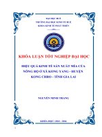 HIỆU QUẢ KINH tế sản XUẤT mía của NÔNG hộ ở xã KONG YANG HUYỆN KONG CHRO  1