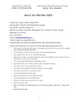 Báo cáo thường niên năm 2008 - Công ty Cổ phần Sông Đà 9.06