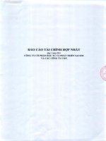Báo cáo tài chính hợp nhất quý 1 năm 2016 - Công ty Cổ phần Đầu tư và Phát triển Sacom