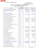 Báo cáo tài chính hợp nhất quý 2 năm 2015 - Công ty Cổ phần Simco Sông Đà