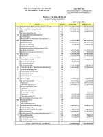 Báo cáo tài chính quý 4 năm 2010 - Công ty Cổ phần Tư vấn Sông Đà