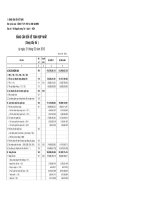 Báo cáo tài chính hợp nhất quý 1 năm 2010 - Công ty Cổ phần Hợp tác kinh tế và Xuất nhập khẩu SAVIMEX