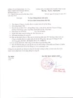 Báo cáo tài chính hợp nhất năm 2013 (đã kiểm toán) - Công ty cổ phần Đầu tư và Phát triển Đô thị Sài Đồng