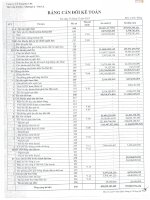 Báo cáo tài chính quý 4 năm 2013 - Công ty Cổ phần Sông Đà 7.04