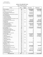 Báo cáo tài chính quý 3 năm 2010 - Công ty Cổ phần Sông Đà 9.06