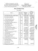 Báo cáo tài chính hợp nhất quý 1 năm 2013 - Tổng Công ty cổ phần Xây lắp Dầu khí Việt Nam